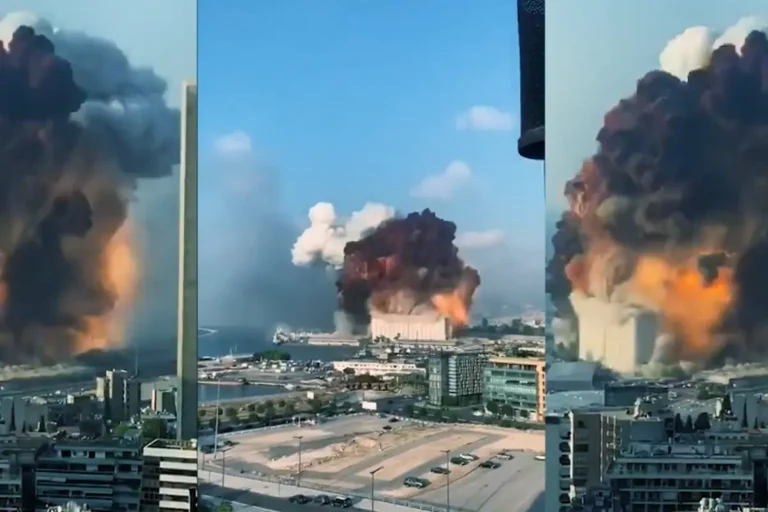 Frame dal video di presentazione di Will Media