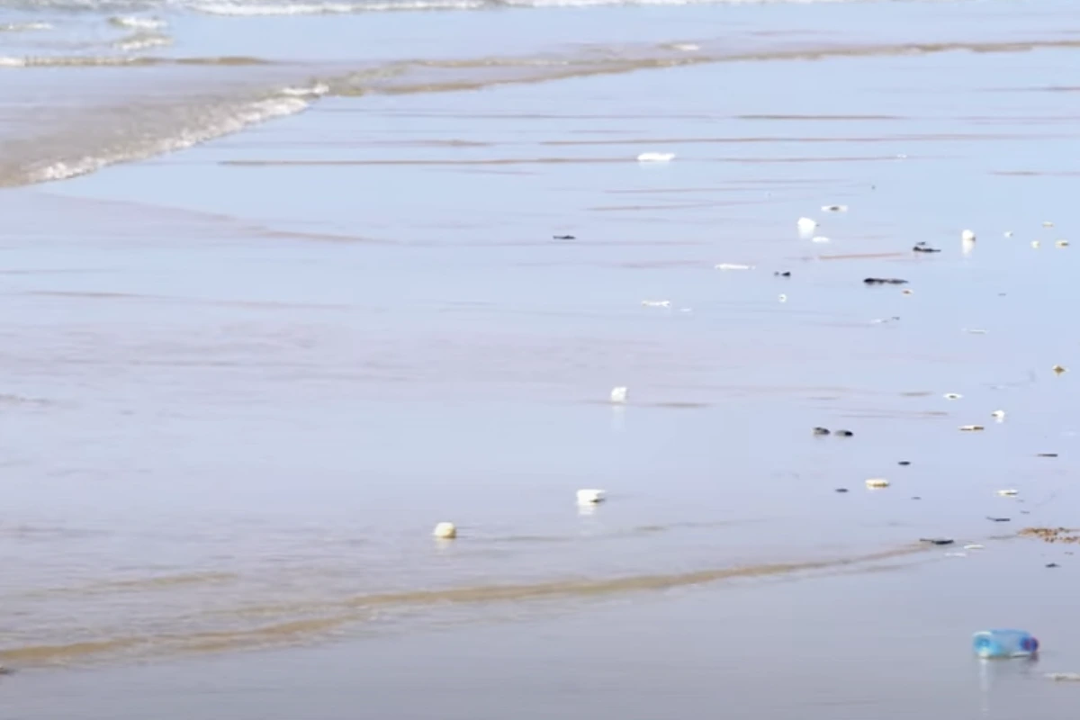 From the video Stories of Becoming
