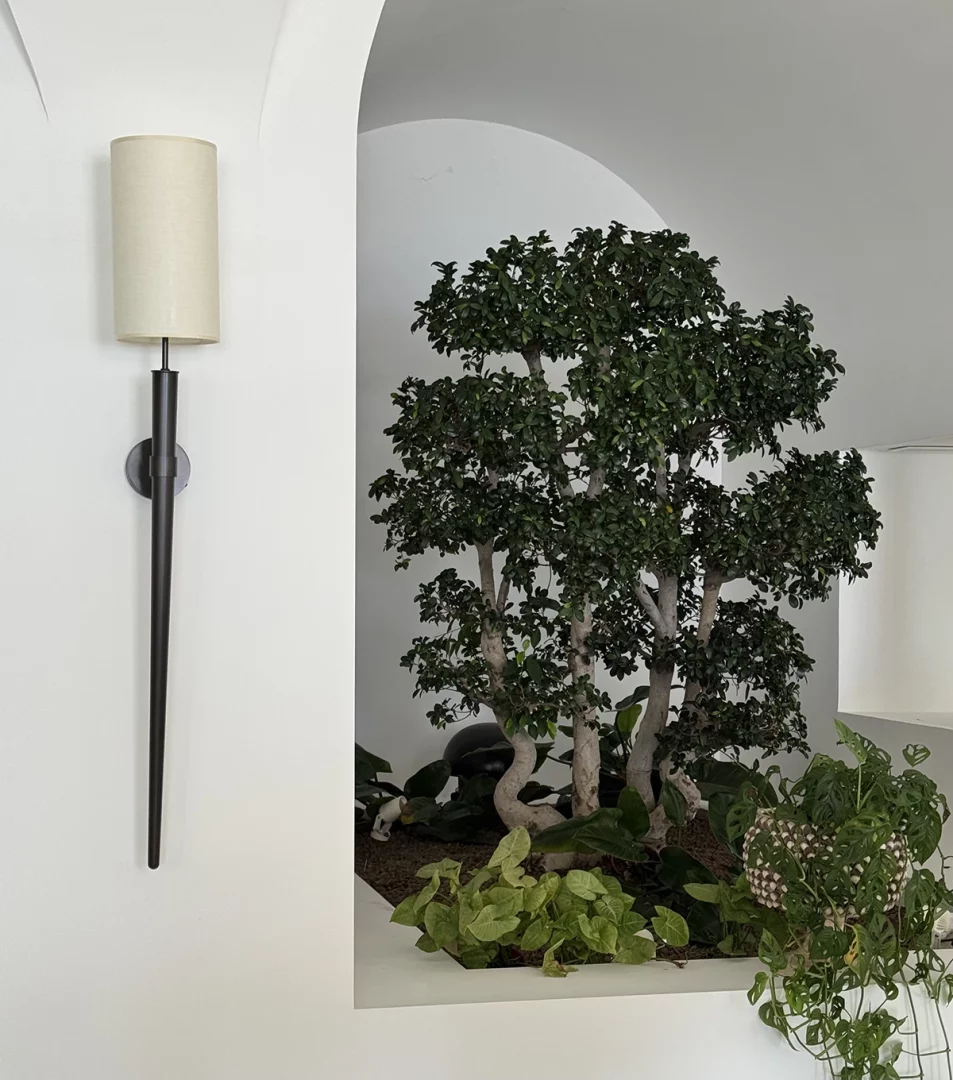 Furore Grand Hotel, vaulted lounge sheltering an indoor citrus tree