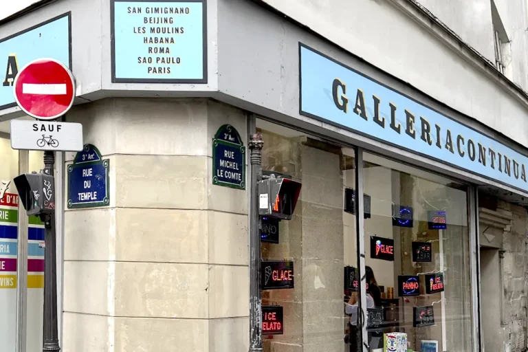 Galleria Continua Pascale Marthine Tayou illy. Art Collection