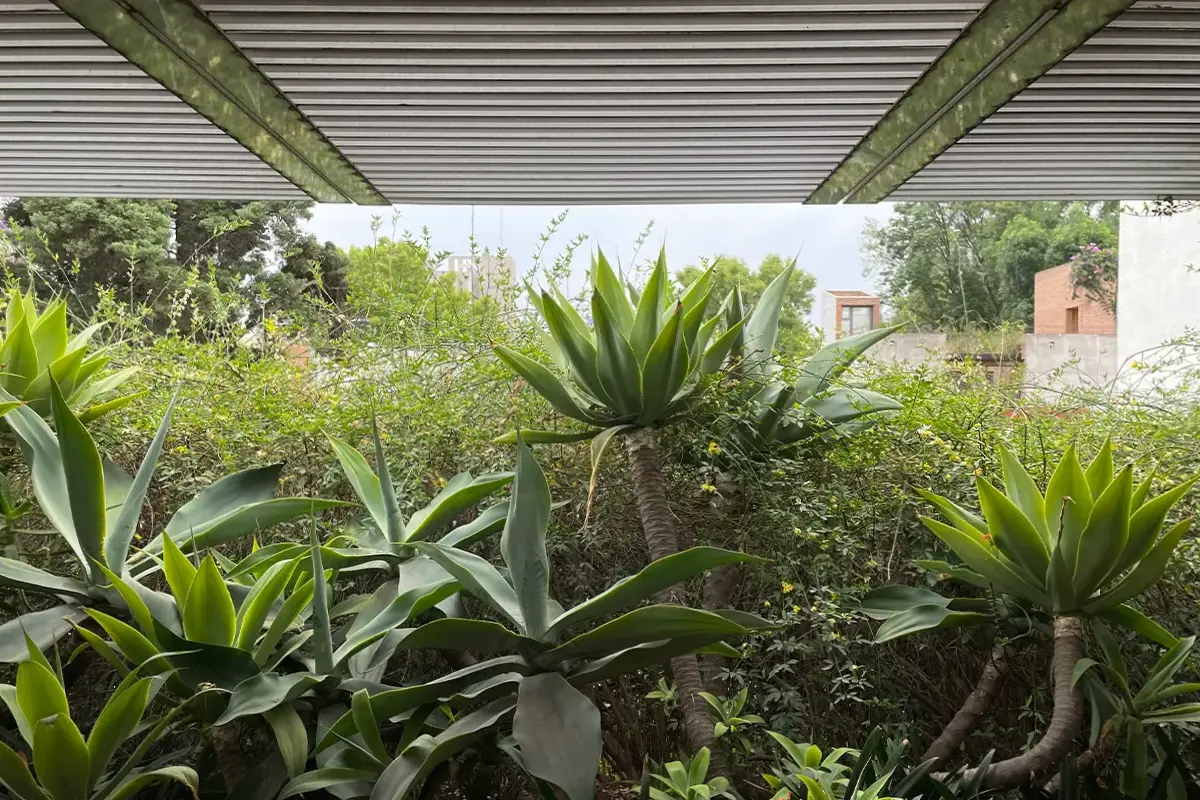 Galvanized sheet metal roof at Kurimanzutto, Mexico City