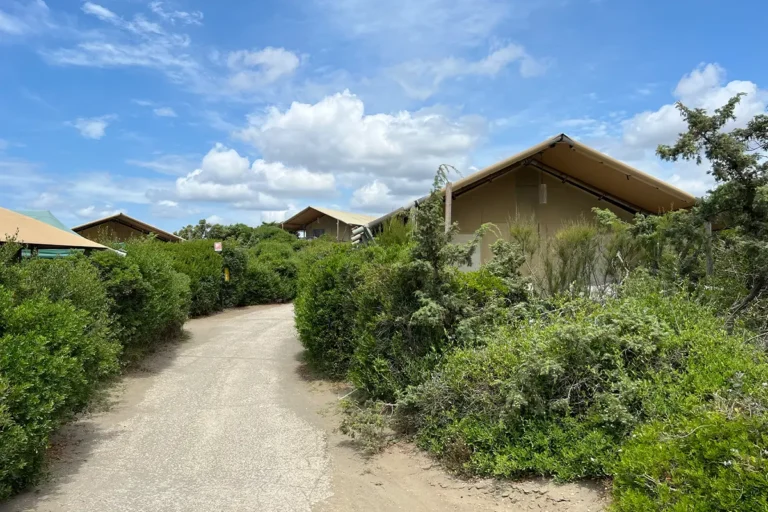 Glamping Terre di Sacra|Massimo Uberti