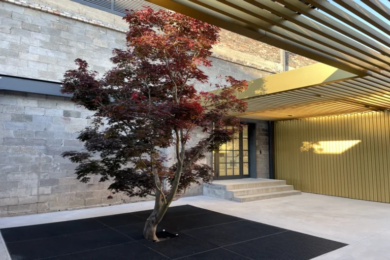 Golden Goose in Marghera|Seventy percent of Golden's team is under 32 years old|Silvio Campara introduces the new Academy