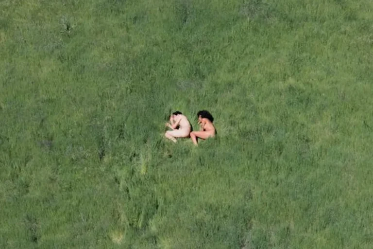 Green colonialism and its consequences on the planet Earth