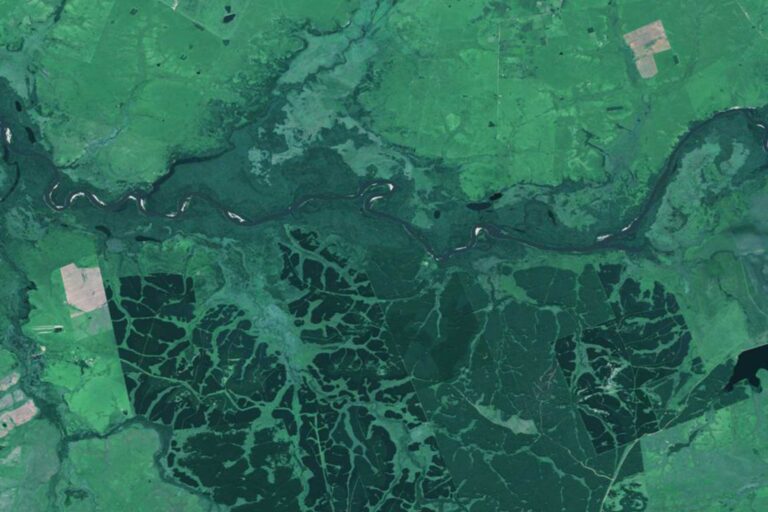 Aerial view of the landscape project near Montevideo