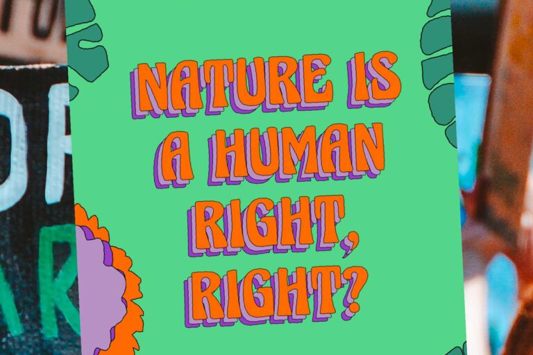 Nature is a human right partnered with Climate Club to design placards