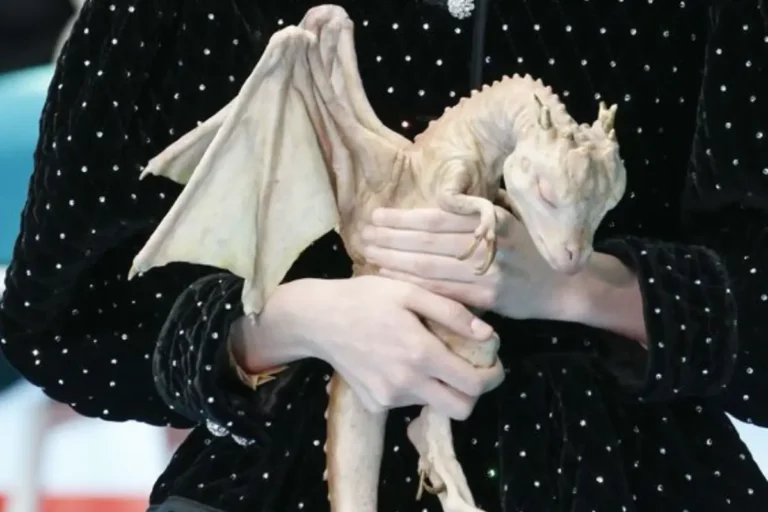 Gucci Fall 2018 by Alessandro Michele|Alessandro Michele