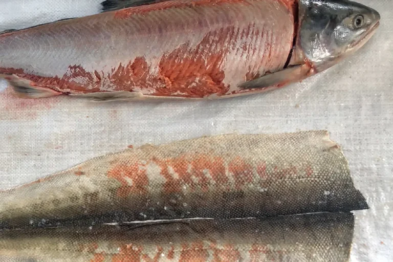 HEZHE FISH SKIN WORKSHOP. Salmon skin