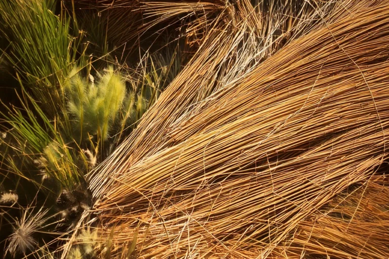 HöbePergh riscopre le proprietà benefiche del fieno e delle erbe dell’Altopiano di Asiago Cover|HöbePergh riscopre le proprietà benefiche del fieno e delle erbe dell’Altopiano di Asiago Detail|HöbePergh riscopre le proprietà benefiche del fieno e delle erbe dell’Altopiano di Asiago