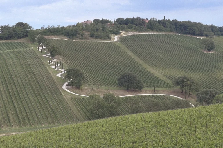 I terreni dell_azienda agricola Agrivar|Igor Mitoraj