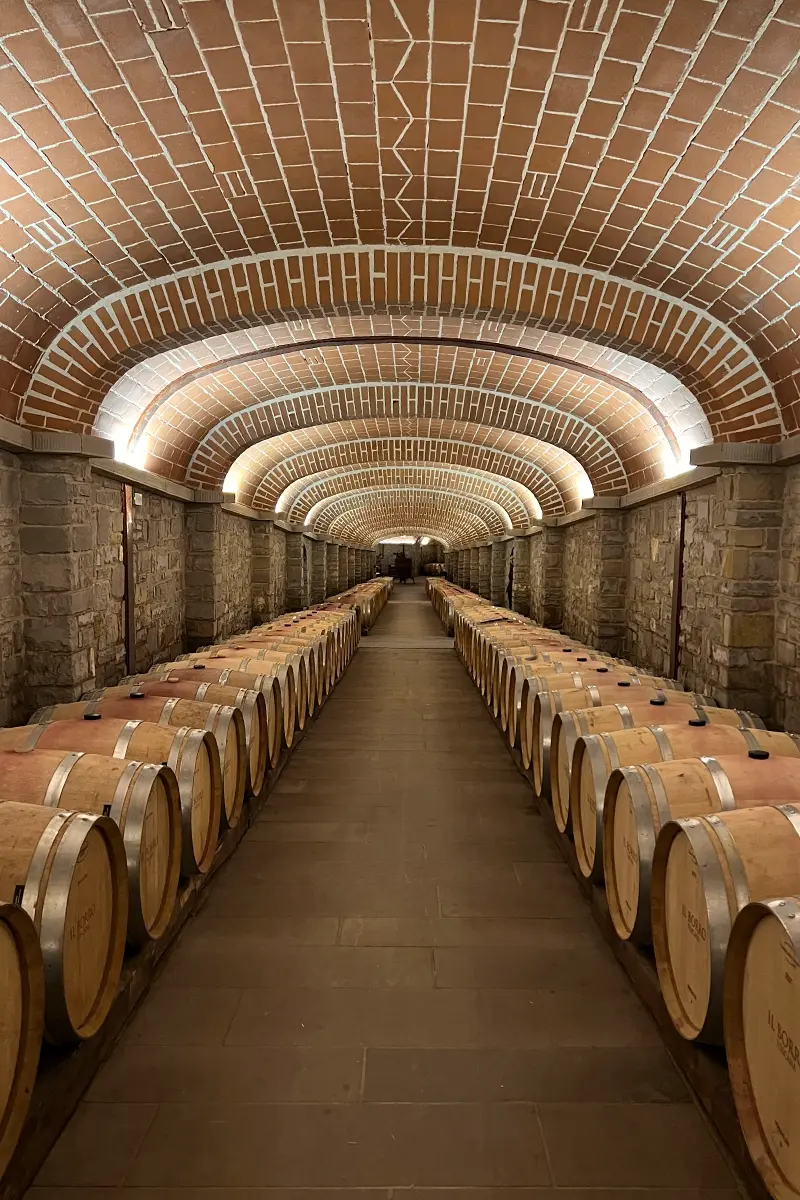 Il Borro's modern winery, built from scratch in 2000