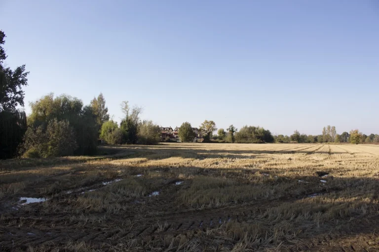 Il Parco Agricolo Sud è un area naturale protetta della Lombardia che racchiude una grande zona ad
