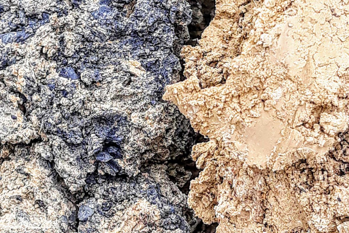 Il biochar è carbone biologico derivato dalla pirolisi o pirogassificazione di biomassa vegetale lampoon|Il-biochar-contribuisce-alla-ricarbonizzazione-del-suolo lampoon|Il-Black-carbon-è-il-new-green lampoon