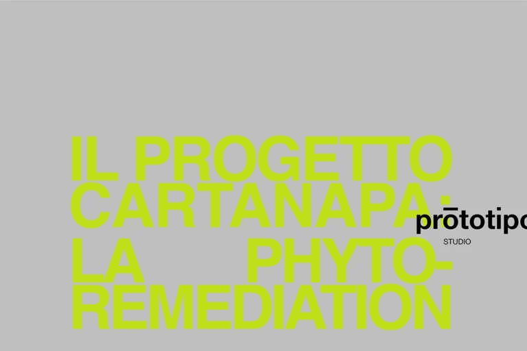 |Lampoon. Il progetto cartanapa - la phytoremediation