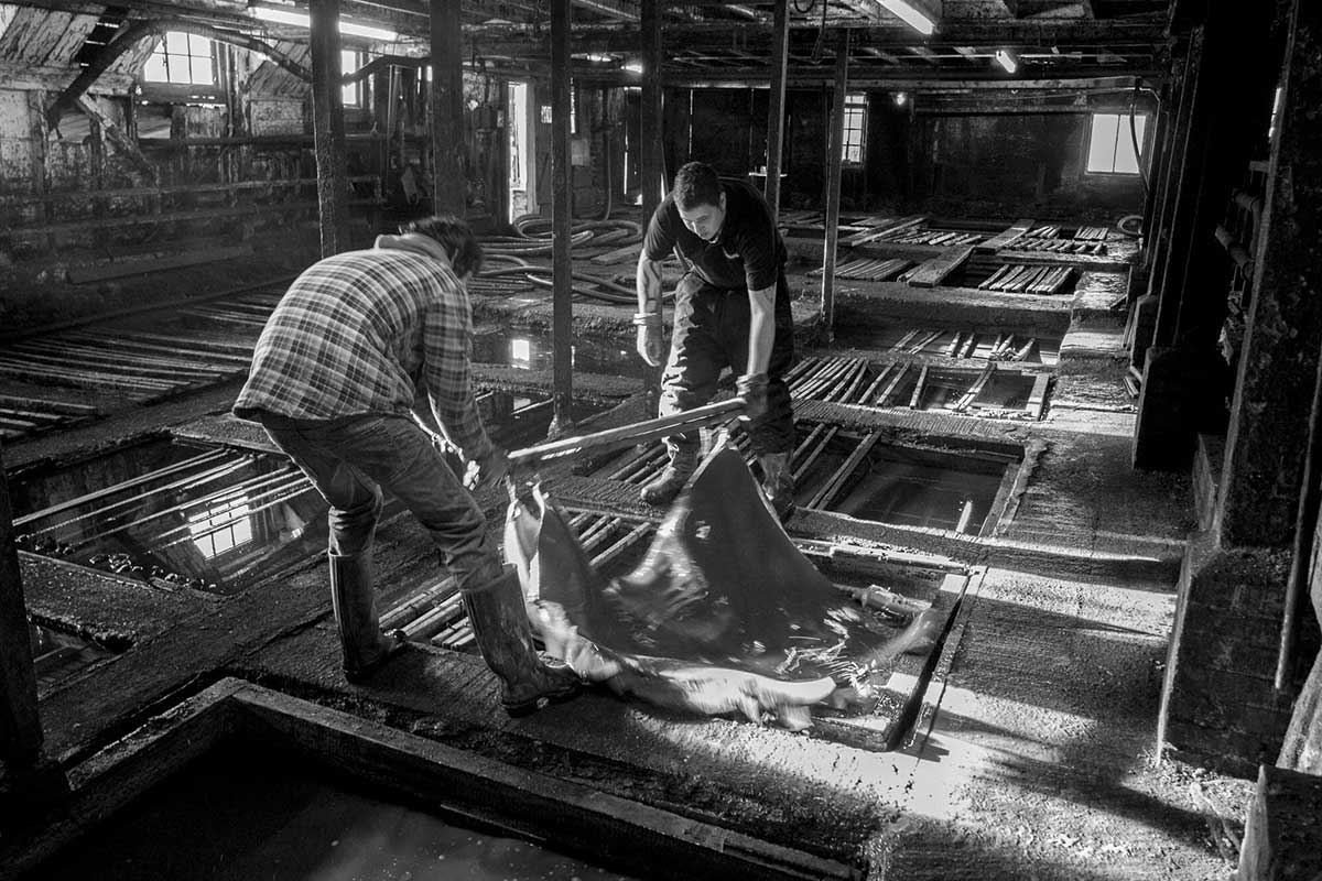 J. & J.F. Baker, the last remaining oak bark Tannery in England