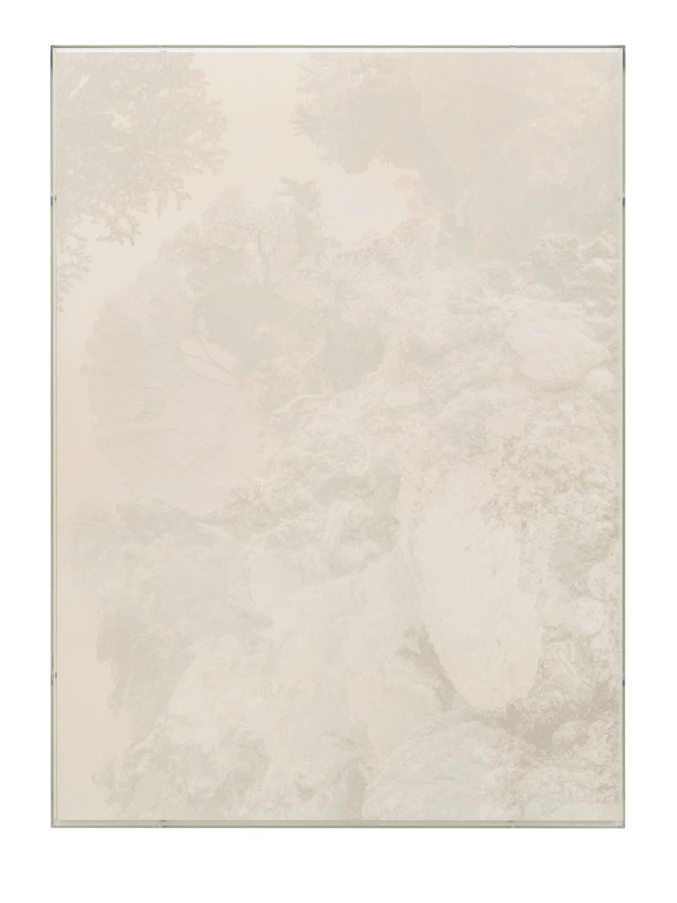 Julian Charrière, Veils, Gorgonia Flabellum, 2025