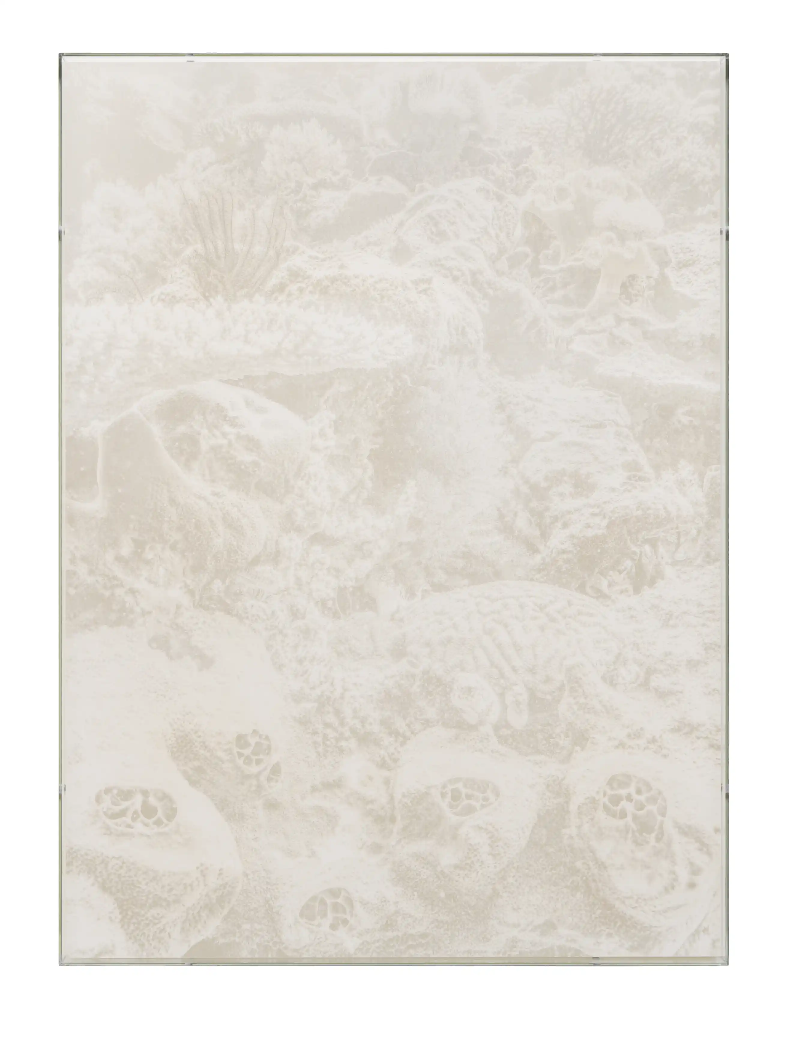 Julian Charrière, Veils, Liosina Paradoxa, 2025