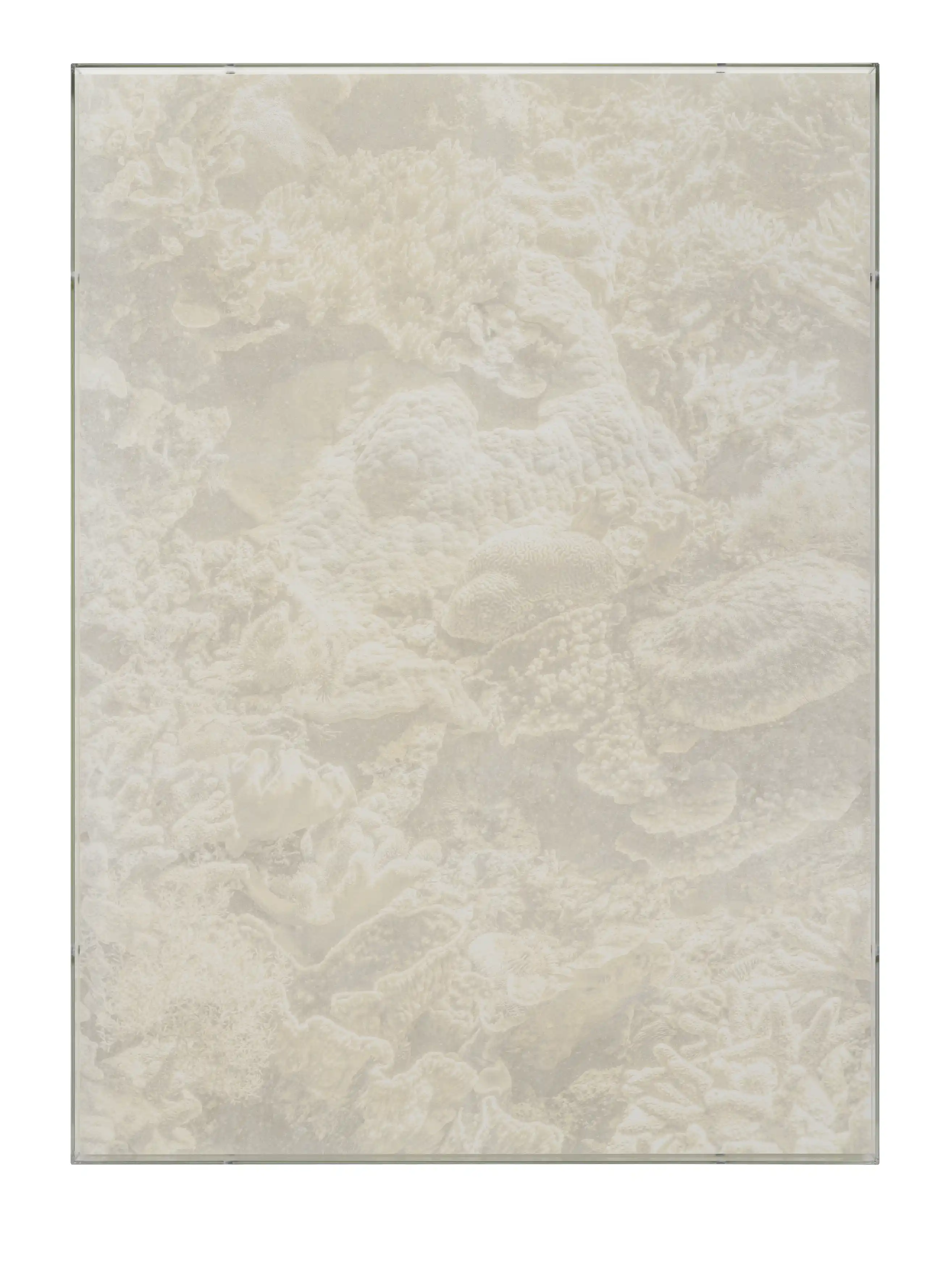 Julian Charrière, Veils, Porites Lobata, 2025_1
