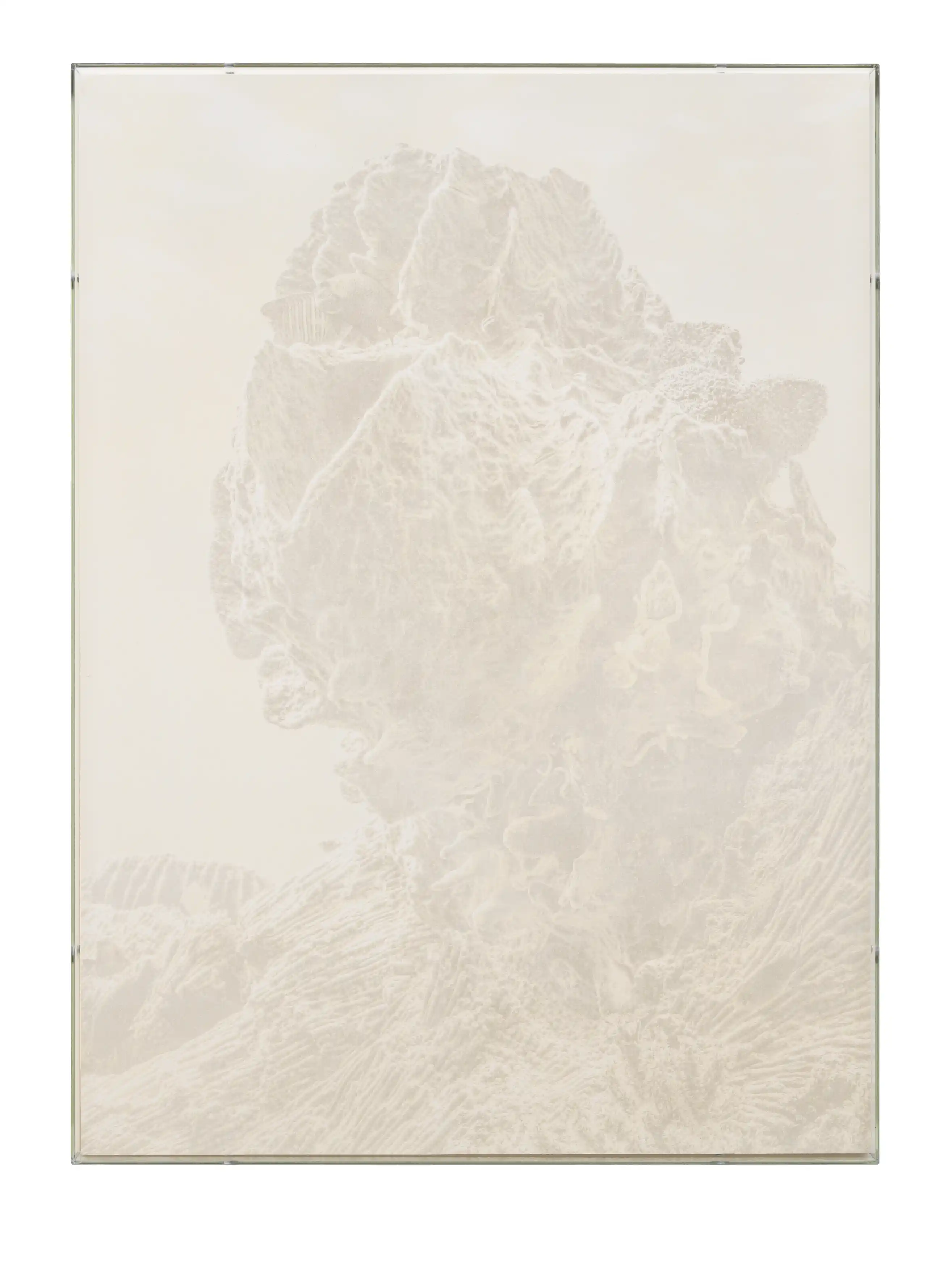 Julian Charrière, Veils, Xestospongia Muta, 2025