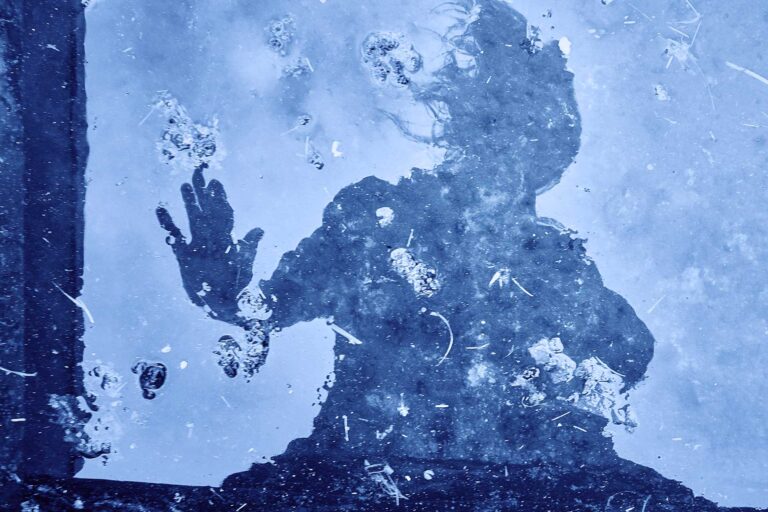 Daniel King-Lampoon-The Honesty Issue