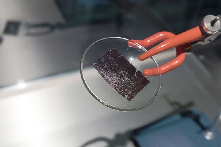 VitroLabs tissue engineering creates ethical leather from cow