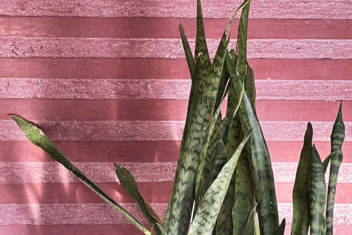 La Sultana, Marrakech - indoor details