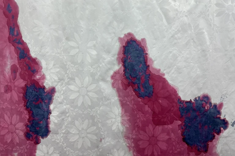 La linea Insubrica|Carcadè|La Linea Insubrica|La Linea Insubrica|Kunst Meran Merano Arte