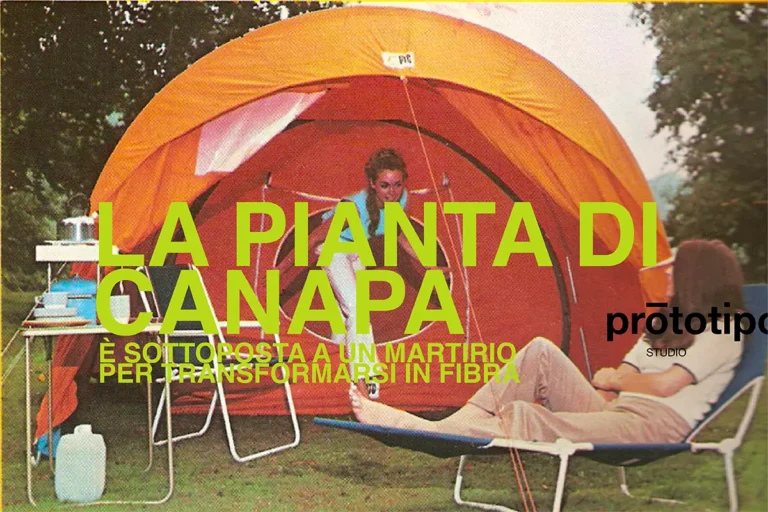 La pianta di canapa|CAMPING ANNI '70|Lampoon. La pianta di canapa