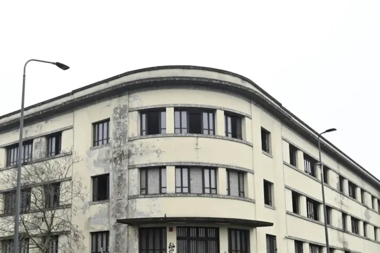 La rigenerazione di Zama