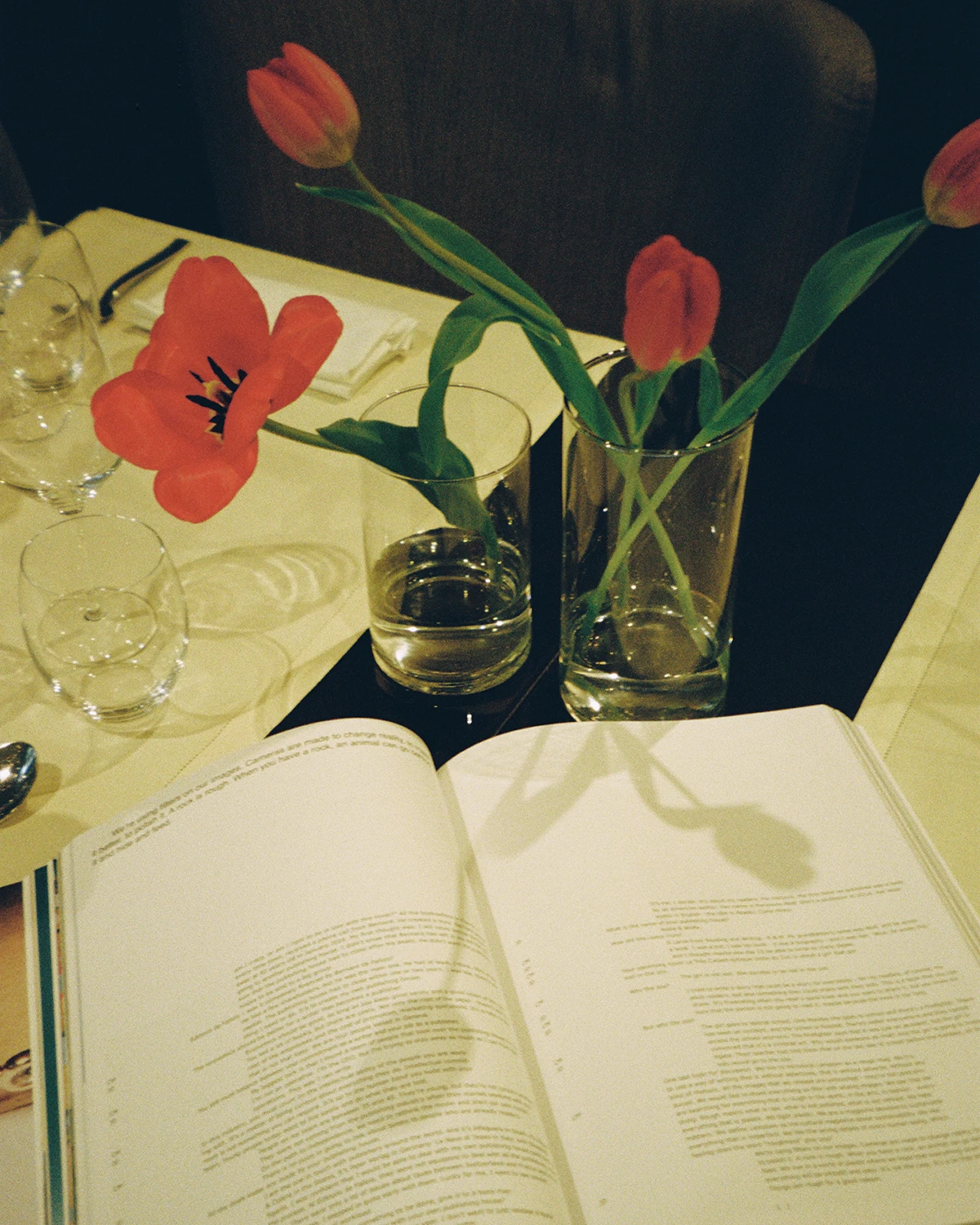Lampoon 10th anniversary dinner at MagnaPars Milano. Photography Arianna Angelini