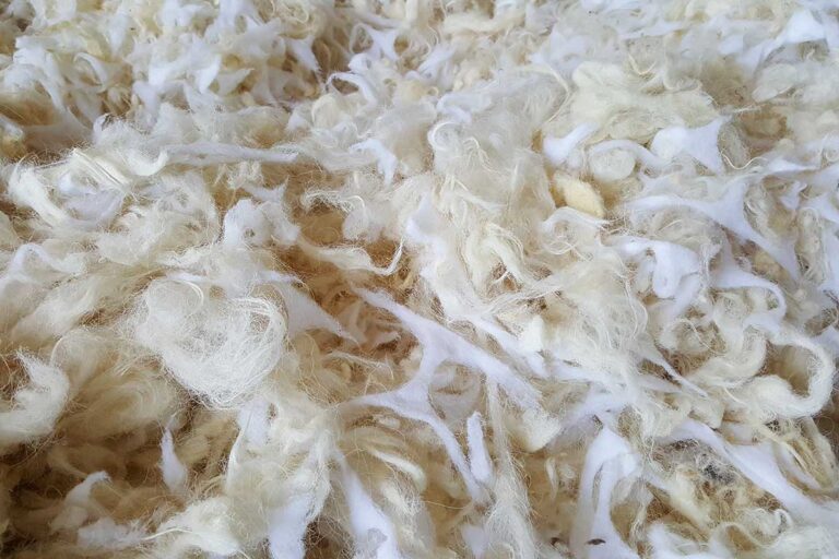 La lana del Lanificio Bianco