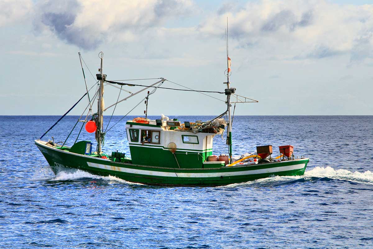 The island of Lanzarote is home to a second lucrative fish business
