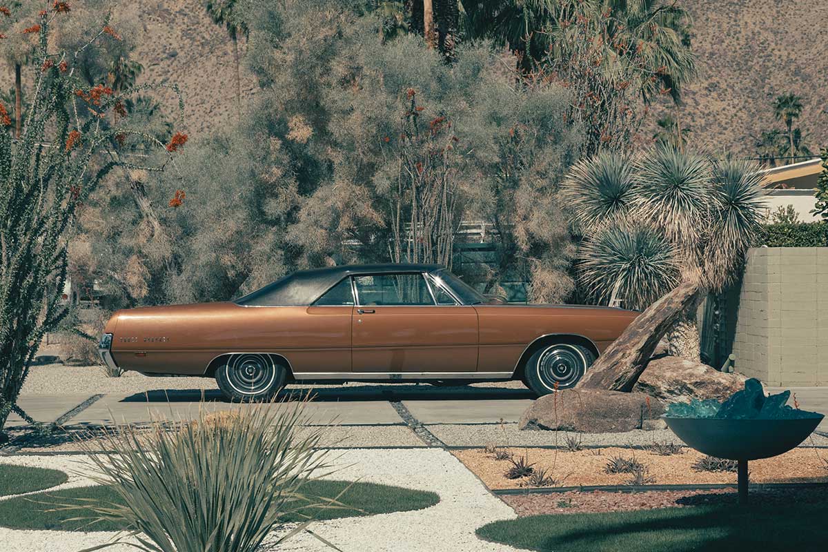 Lampoon, Palm Springs neighborhood