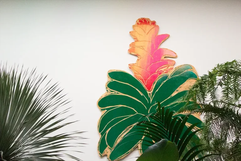 L’infanzia nel Piauì