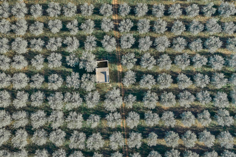 Luigi de Vecchi Chairman of Europe