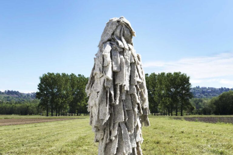 Da un processo di lavorazione di funghi si può ricavare materiale tessile