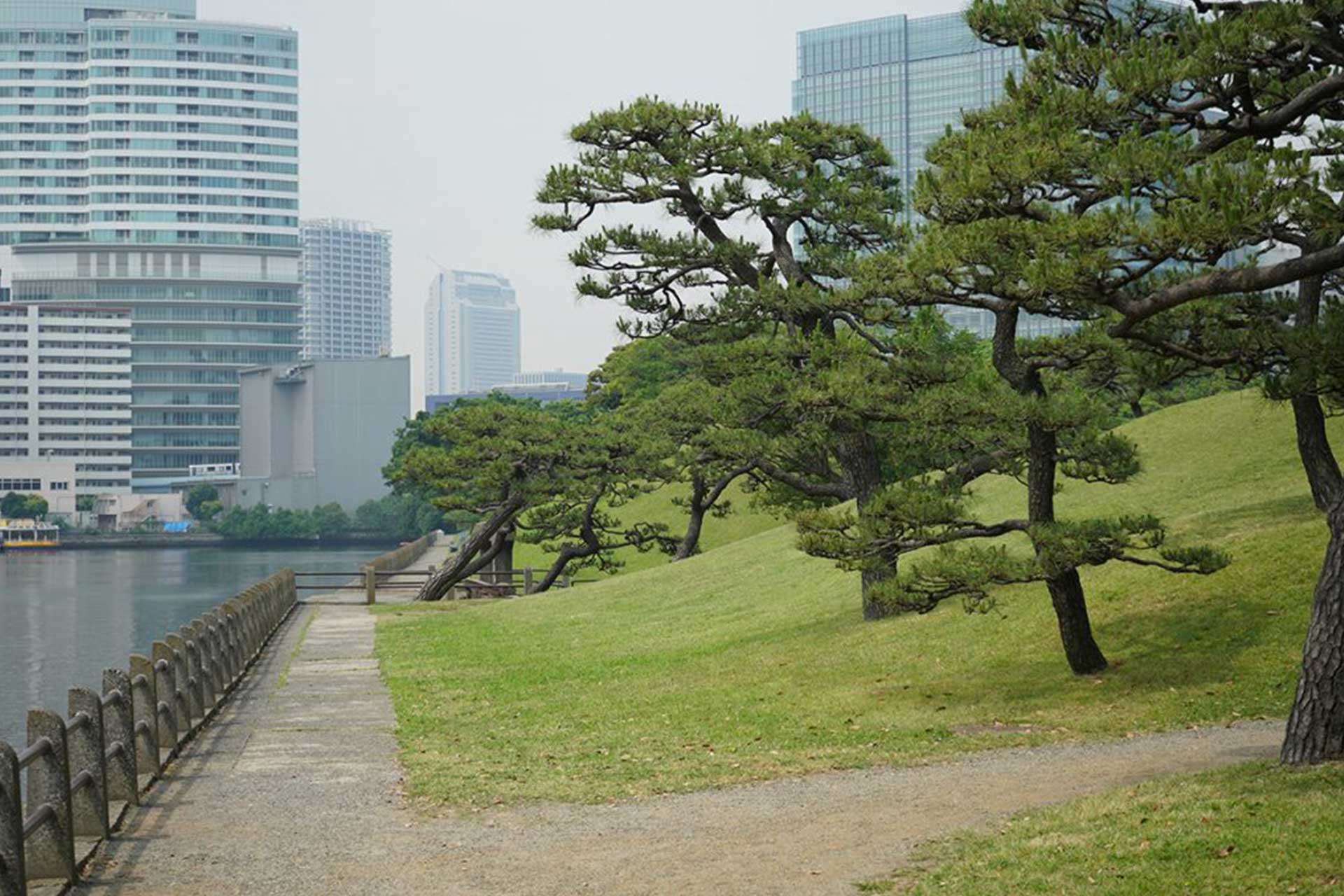 Tokyo-Alexandar-Vujadinovic