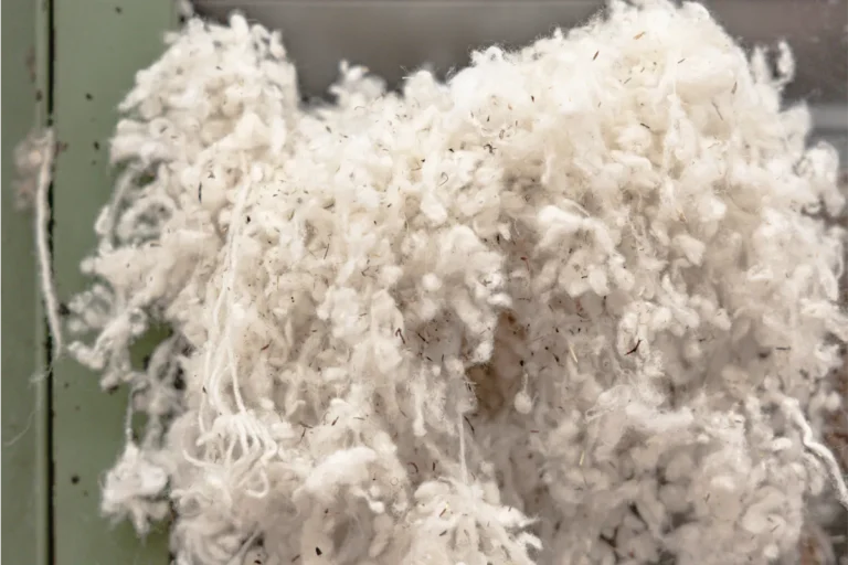 |TesmaWool|Manteco|Manteco|Malo|Manteco|TesmaWool|Manteco