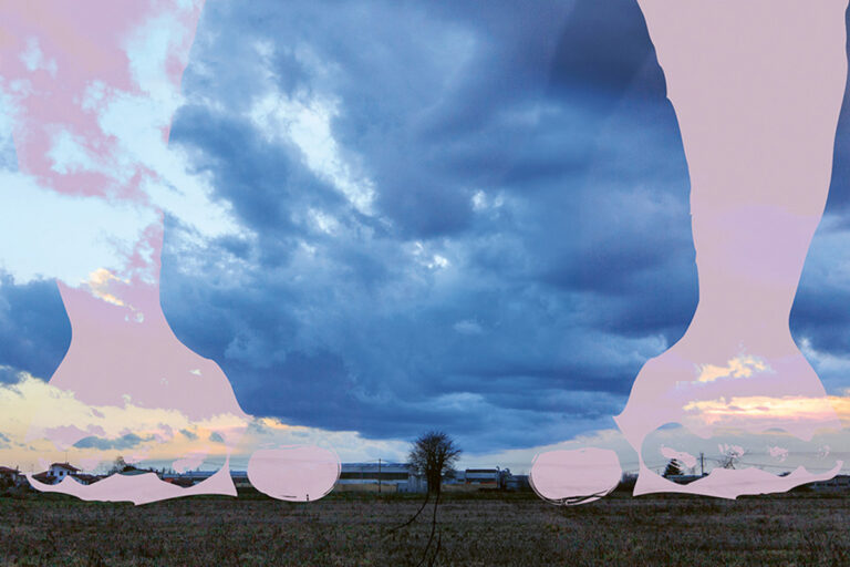 aumento deforestazione nella foresta amazzonica|