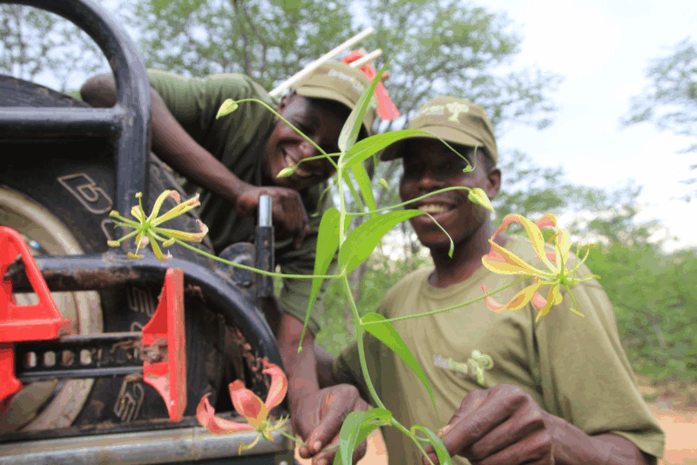 NIO Cocktails has decided to offset its emissions by supporting the Kariba REDD+ Project