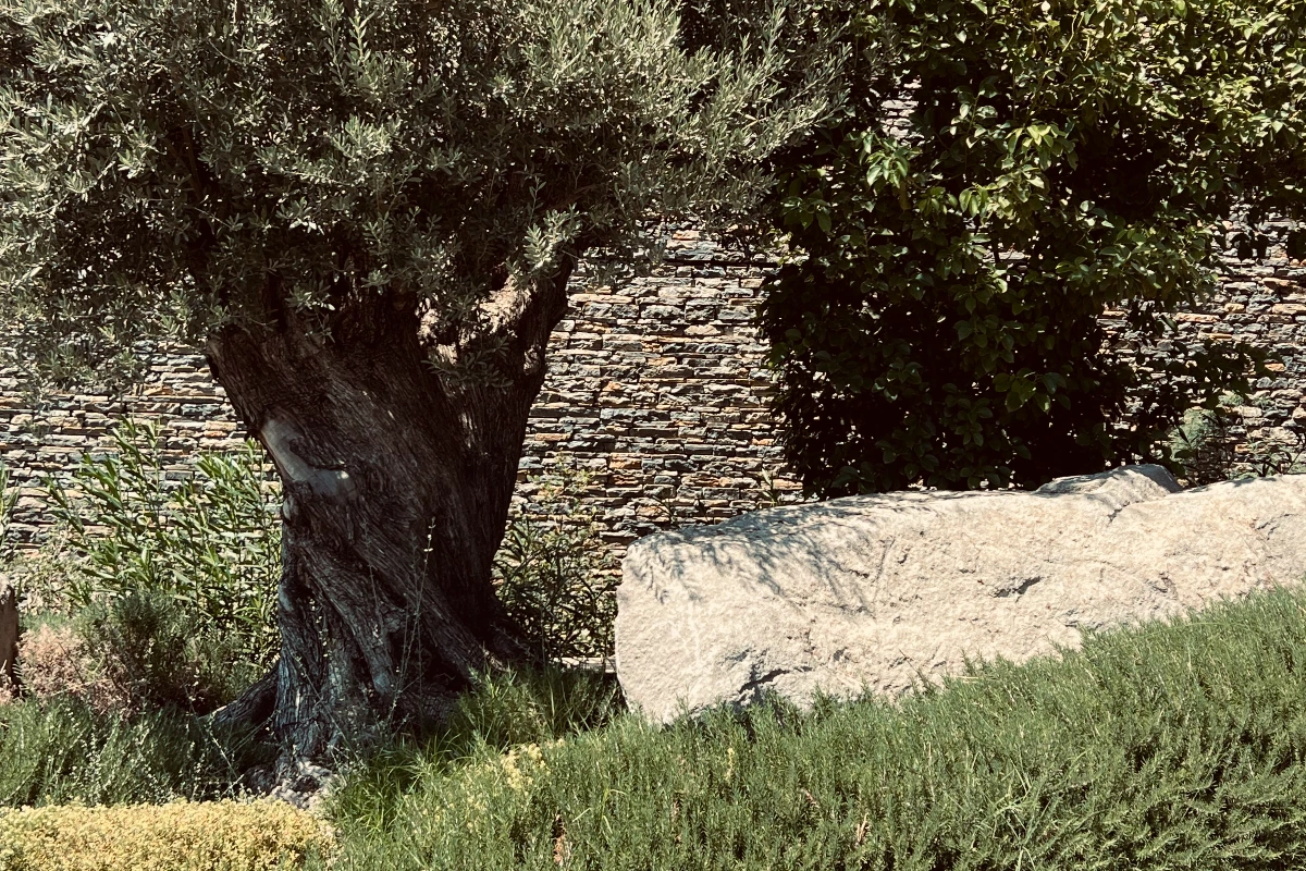 Nature and rough stones. Lujo, Bodrum
