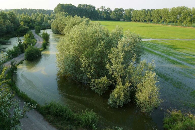 Neorurale Hub Lampoon