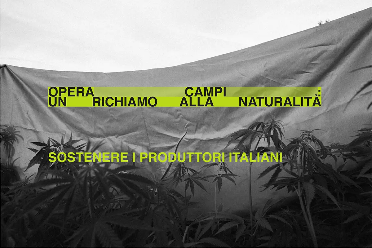 Opera Campi - un richiamo alla naturalità||Lampoon. Opera Campi - un richiamo alla naturalità