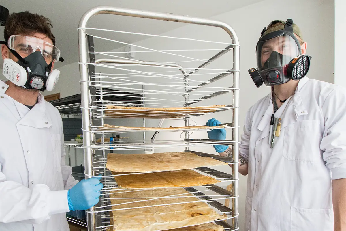 Lampoon, Osmose Studio grows their mycelium leather through vertical farming
