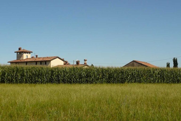 |The stillness of isolation