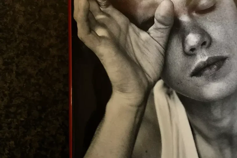 |Particolare della copertina Cieli in fiamme