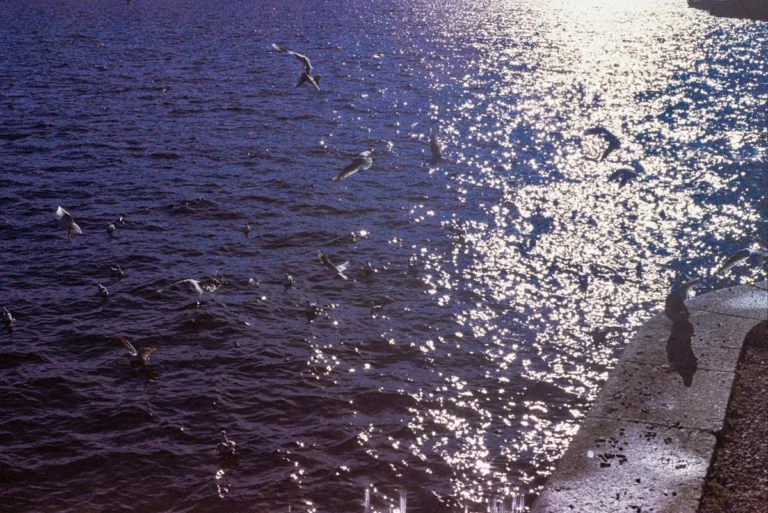 Passeggiata Lino Gelpi