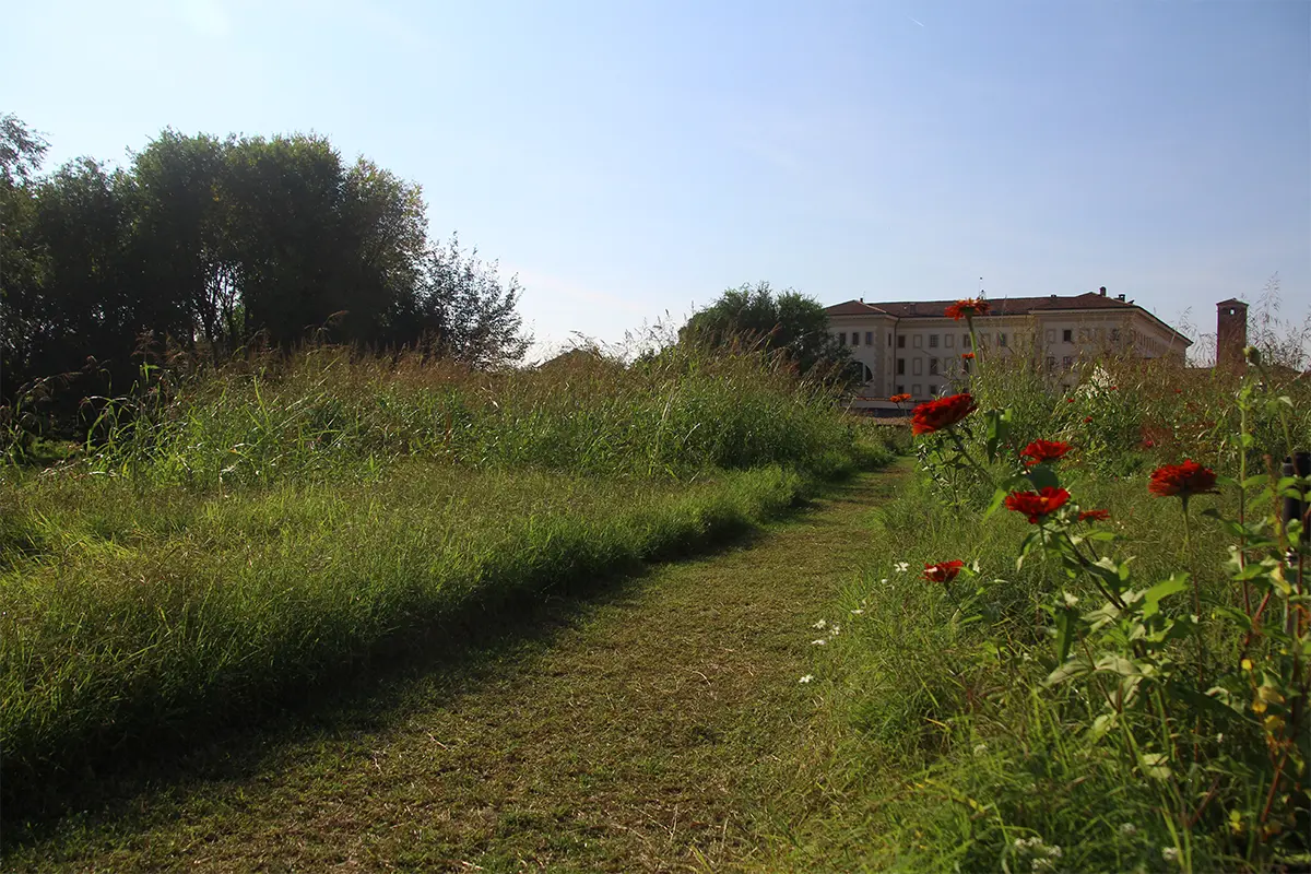 Percorsi verdi