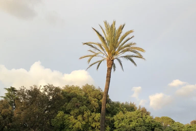 Pincio|Grande MAXXI – Render LAN Architecture|Grande MAXXI – Render LAN Architecture||Grande MAXXI – Render LAN Architecture