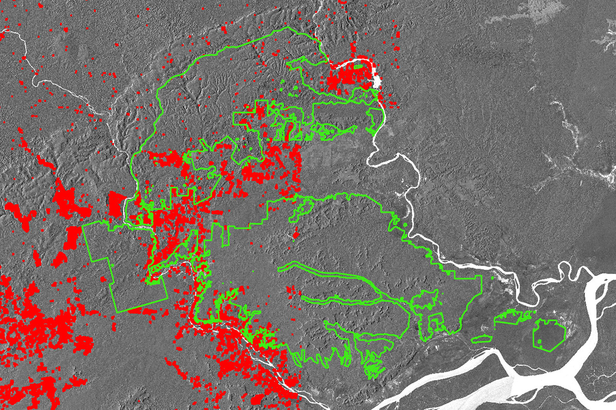 Lampoon, PACHAMA MONITORING IDENTIFYING CANOPY COVER CHANGE